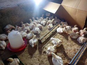 Résultat du séminaire